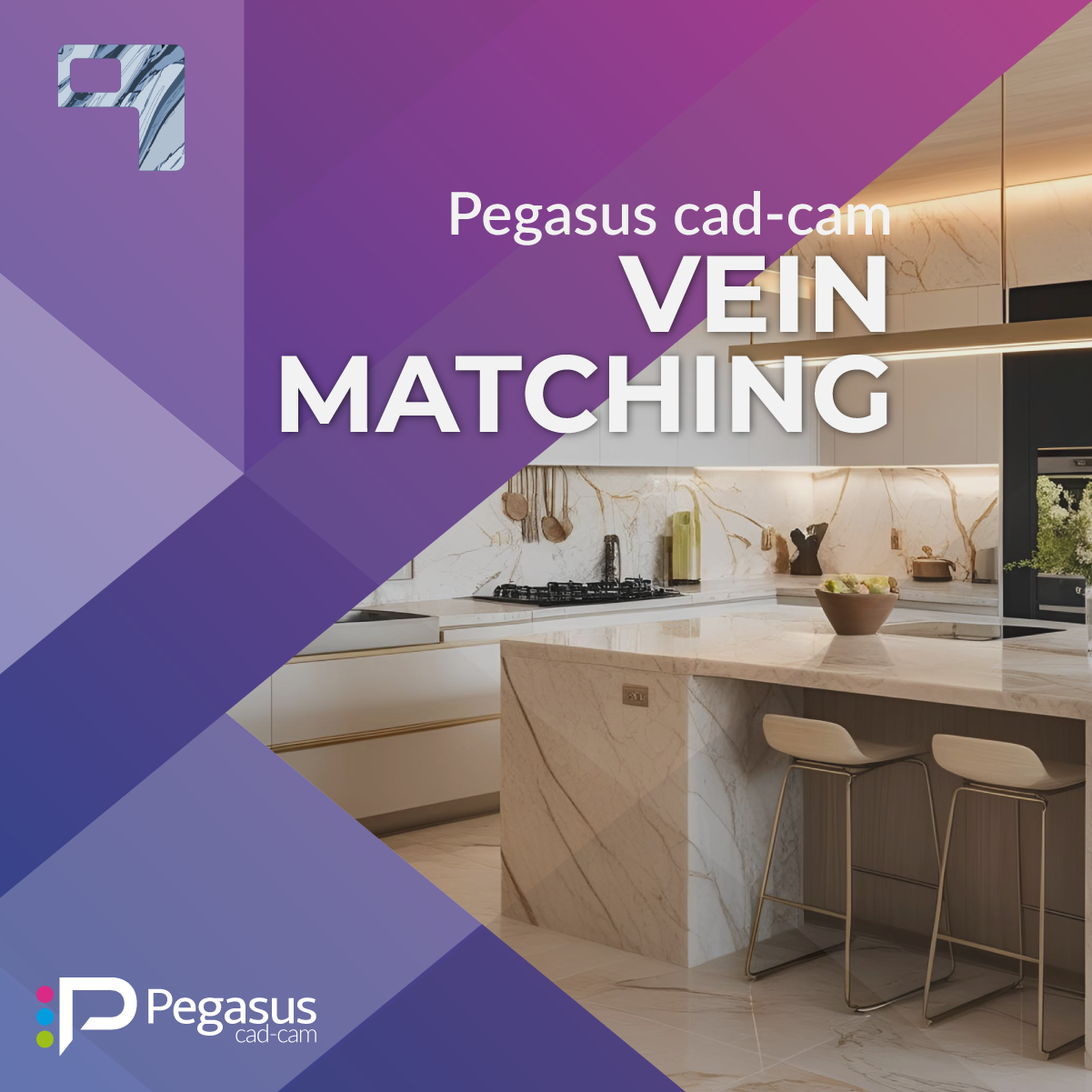 Vein Matching image